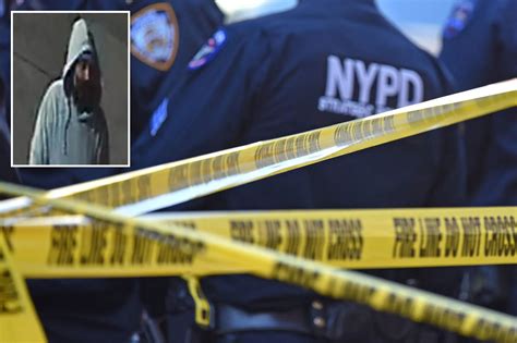 dragged and forced|Woman dragged into Queens alley sexually assaulted by .